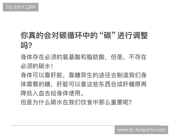 什么是“碳水循环饮食法”？2026 赛季职业球员控制体脂的秘密武器。